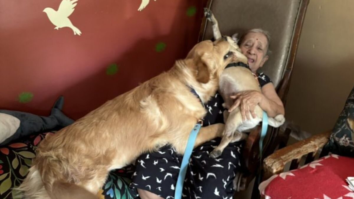 How Pet Dogs Helped Mumbai Family Cope With a Tragedy: 'Taught Us to Be Happy Again' - Vimarsana News