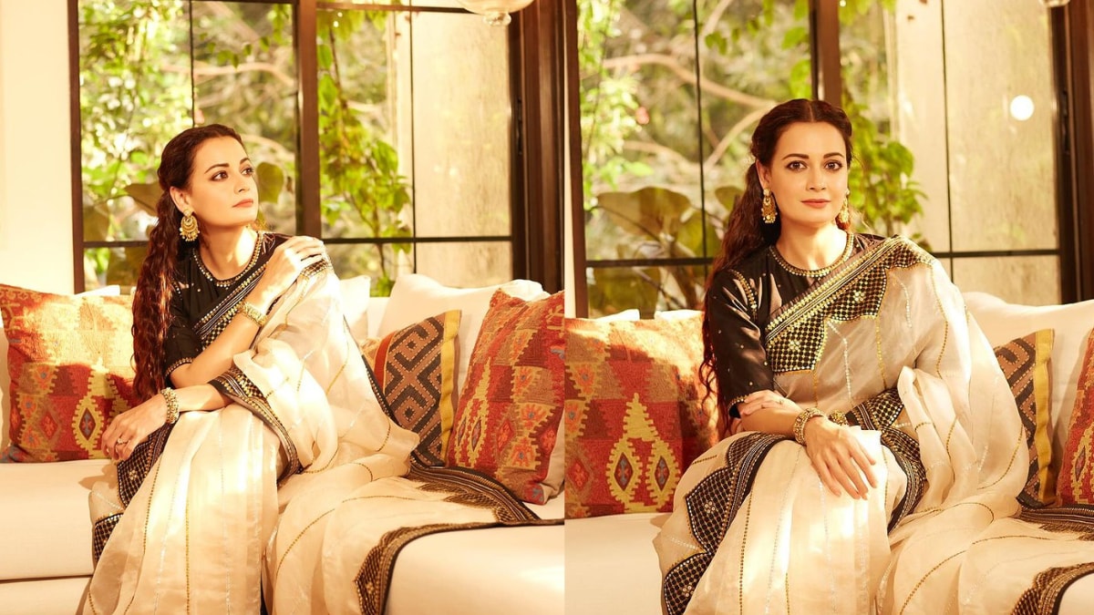 Dia Mirza’s Regal Organza Saree Is Excellent For You Subsequent Marriage ceremony Invite – News18