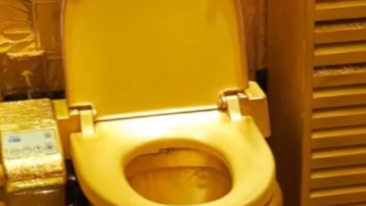 UK Man Admits To Stealing 18-Carat Gold Toilet Worth Rs 50 Crore