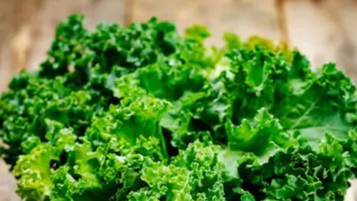 Fresh Look at Nutrient Deficiencies That Impact Your Health Here S All You