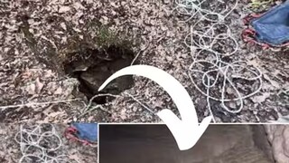 Watch: Man Discovers Underground Waterfall After Climbing Down A Hole In Forest - Vimarsana News