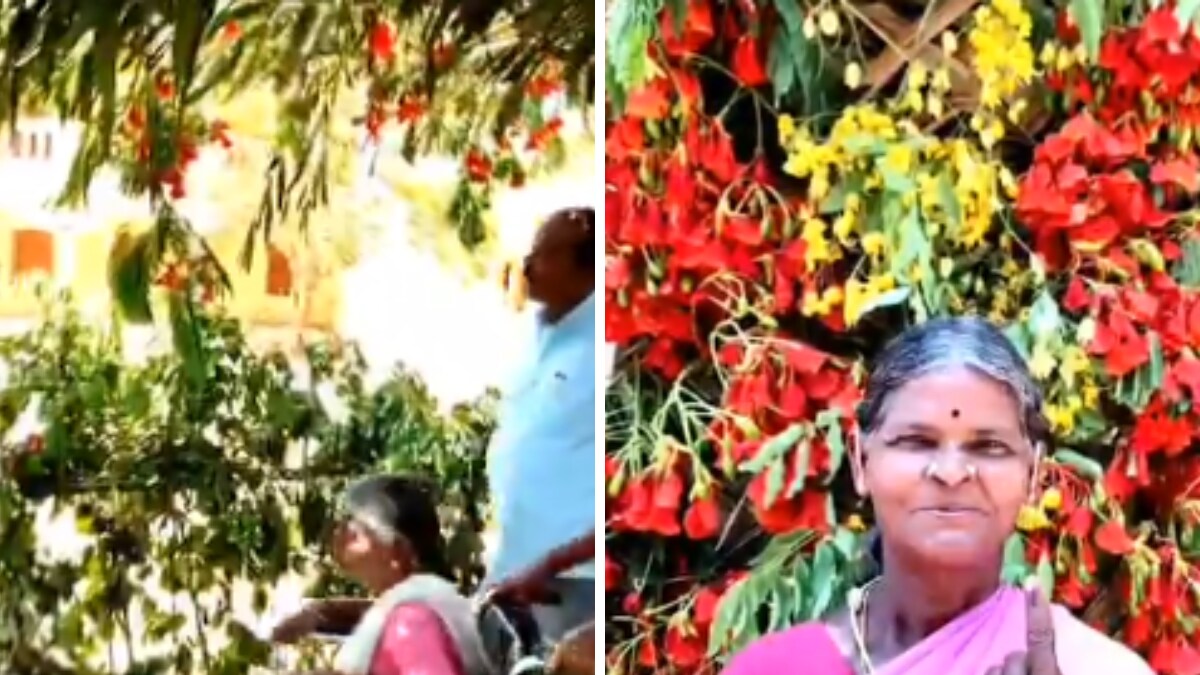 At This Eco-friendly Polling Booth In Tamil Nadu, Plastic Bottles Banned And Separate Bins Kept For Waste - Vimarsana News