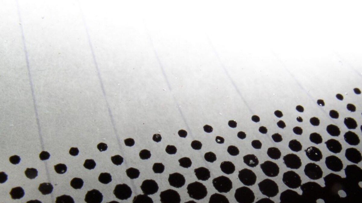 Noticed The Tiny Black Dots On Your Windscreen? Know Why They Are There - Vimarsana News