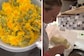 Ever Thought Dandelions Could Be Deep-Fried? This Woman Made It Possible