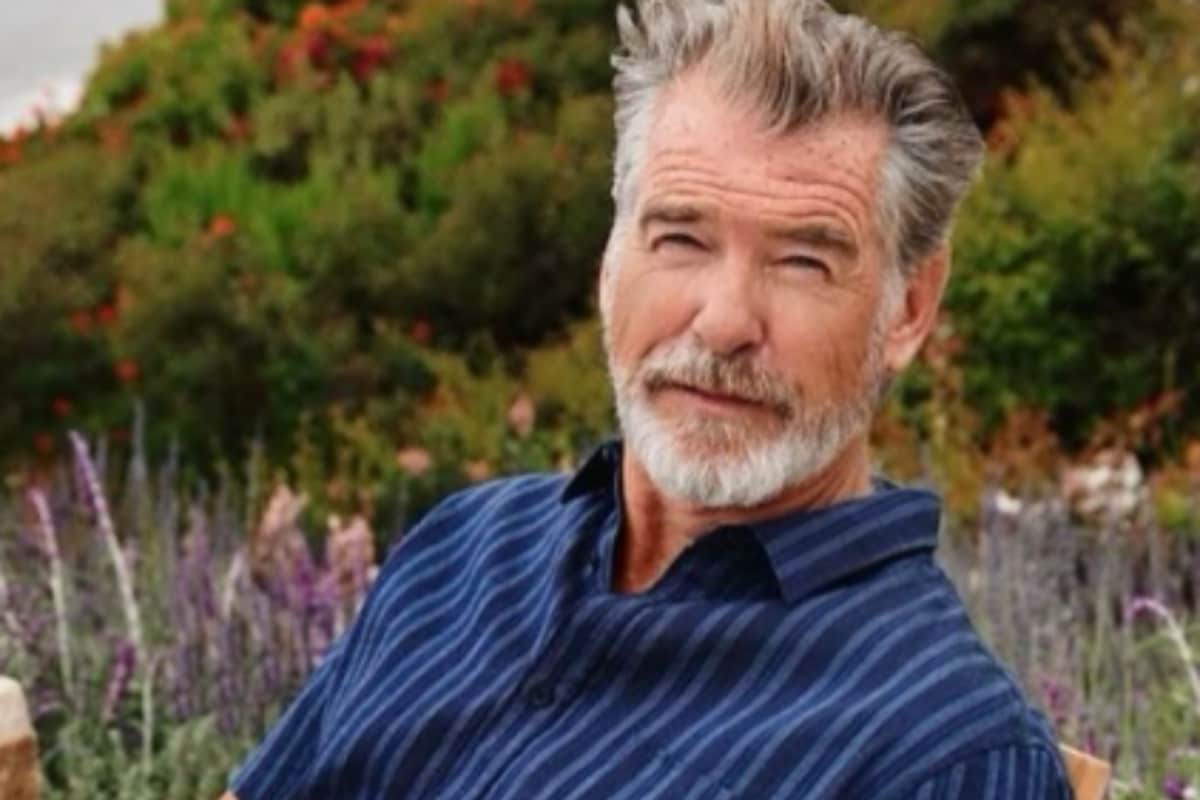 James Bond Star Pierce Brosnan To Play A Spy In Simon Barry's Directorial Debut?