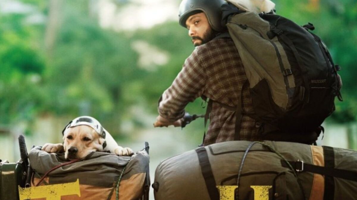 Rakshit Shetty's 777 Charlie To Release In Japan On This Date - Vimarsana News