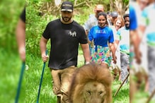 Inside Aly Goni And Jasmin Bhasin's Jungle Safari With Family In Mauritius
