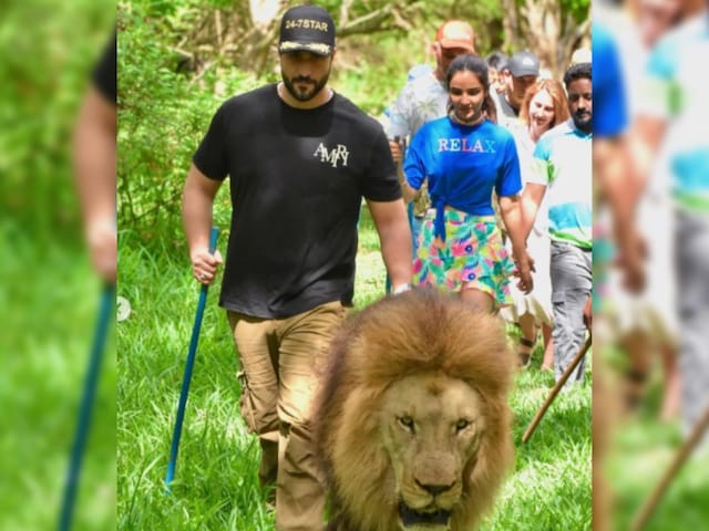 Inside Aly Goni And Jasmin Bhasin's Jungle Safari With Family In ...