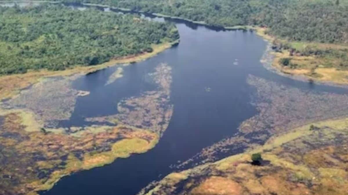 Rivers Carry Only 2.5% Of All Water On Earth: NASA