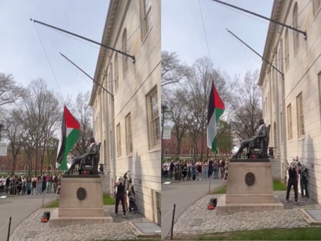 Student protesters raise Palestinian flags at Harvard Yard, sparking campus controversy. (Screengrab)