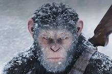 Before You Watch Kingdom Of The Planet Of The Apes, Here Is A Quick Recap Of The Ape Franchise