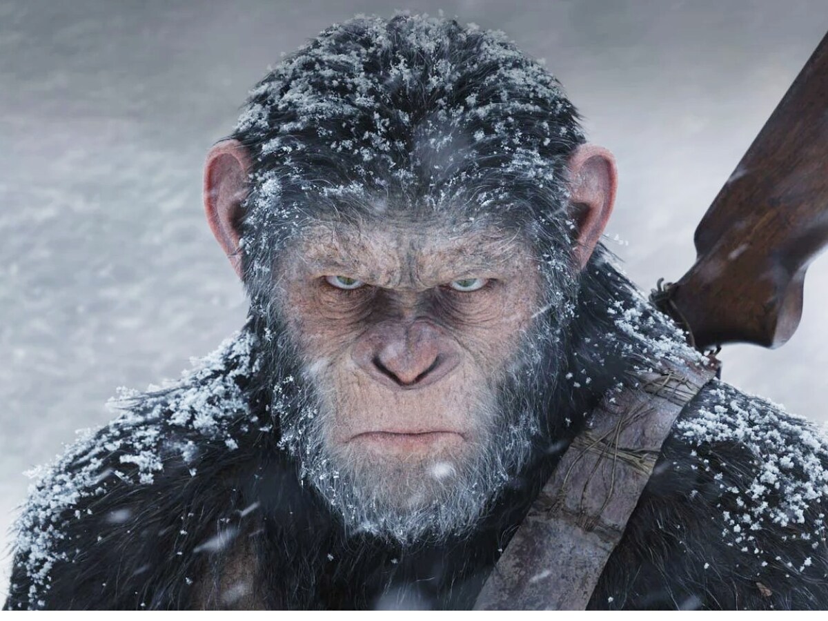 Kingdom Of The Planet Of The Apes Teaser Shows New Ape Leader Taking  Control - News18