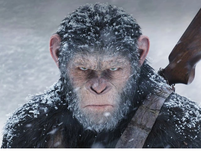 Kingdom Of The Planet Of The Apes Teaser Shows New Ape Leader Taking ...