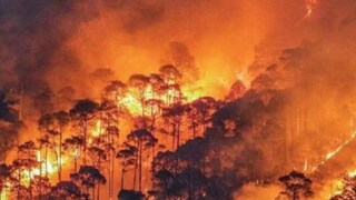 Uttarakhand Wildfire Claims One More Life, 5th Death In 3 Days; Rain Likely This Week - Vimarsana News
