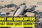 Israel Strike: What Are The Quadcopters That Iran Shot Down? 