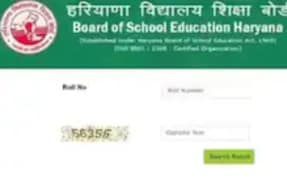 hbse 12th result 2024, bseh 12th result 2024, haryana board 12th result 2024,