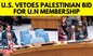 US vetoes Palestinian bid to be full UN member state