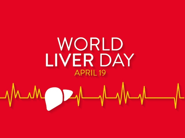 World Liver Day 2024 theme is Keep your liver healthy and disease-free. (Image: Shutterstock)
