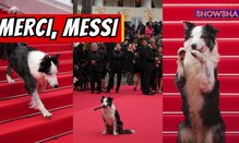 Cannes 2024: Messi The Dog From 'Anatomy Of A Fall' Walks The Red Carpet, Steals Spotlight