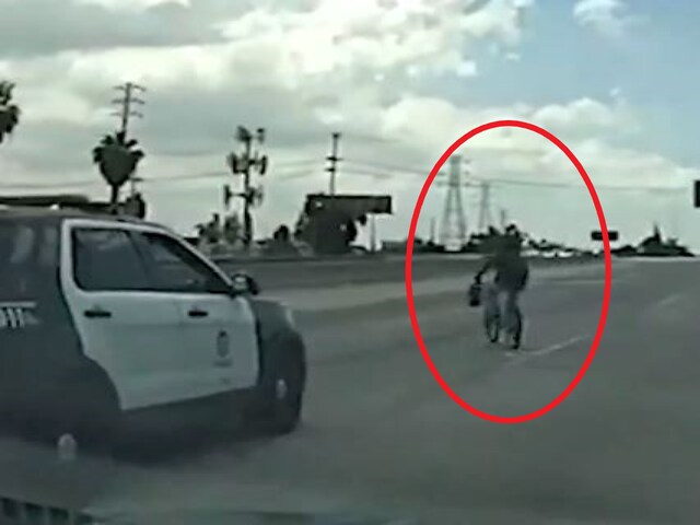 Video: Cops Chase Man Who Tried To Pedal Away On A Bicycle After ...