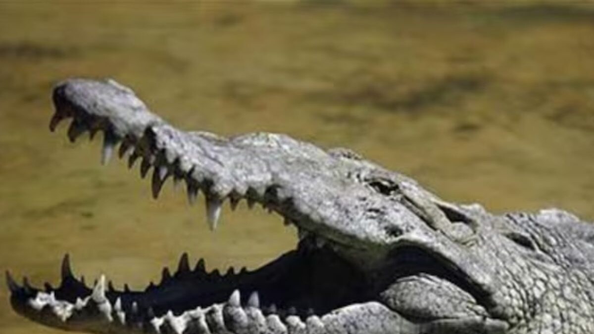 Mother Kills 6-Year-Old Son by Throwing Him into Crocodile-Infested Canal