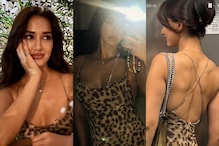 Sexy Video! Disha Patani Raises the Heat in Racy Low-Cut Backless Dress, Hot Video Goes Viral | Watch
