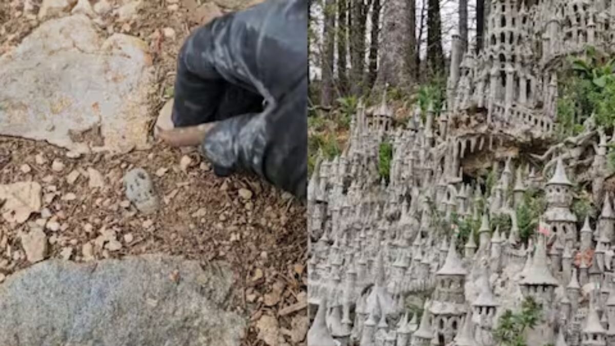 Man Finds Skulls Under His Feet In Forest And This Happened Next - Vimarsana News