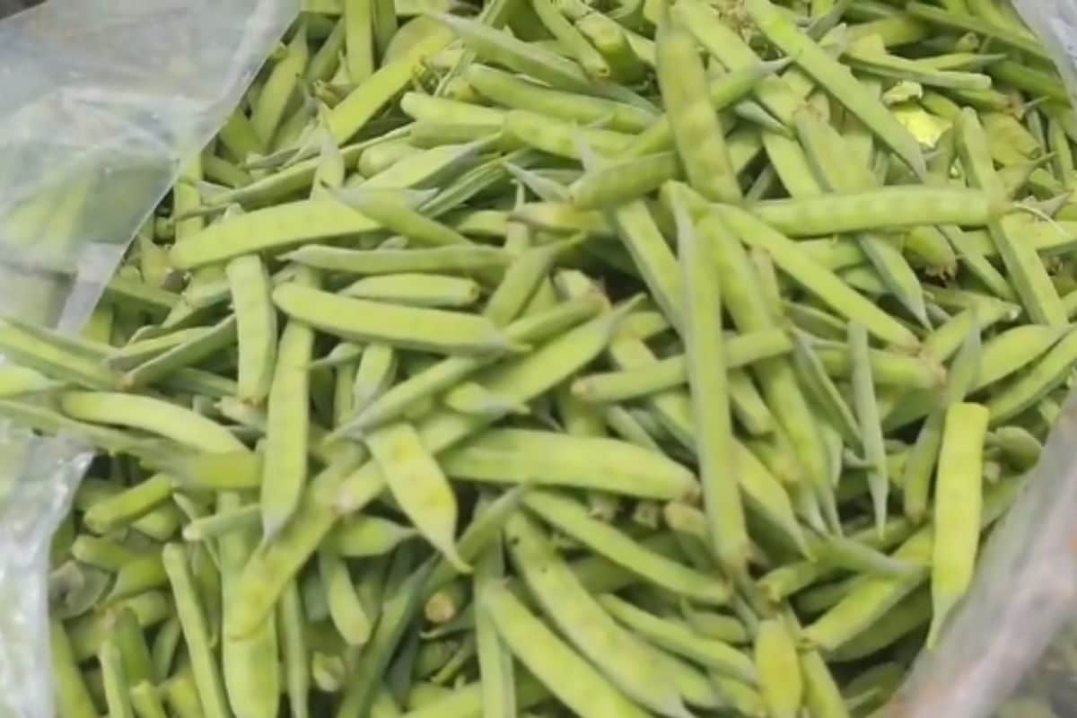 Kakdi To Kachri, 3 Vegetables Found In Rajasthan That Are Locals’ Favourite In Summer