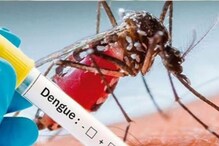 Can Home Remedies Like Goat’s Milk Or Aloe Vera Treat Dengue? Experts Decode