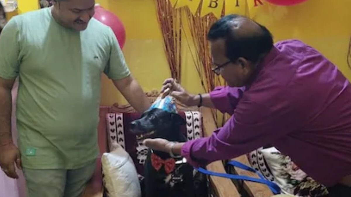 Tilak To Cake, Jharkhand Family Celebrates Pet Dog's Birthday Like A Child - Vimarsana News