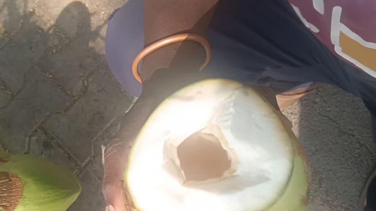 Why This Dealer Is Promoting Coconut Water At Part Worth In Uttara Kannada District – News18