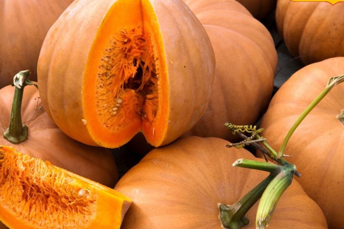Improving Eyesight To Promoting Weight Loss, 6 Benefits Of Pumpkin