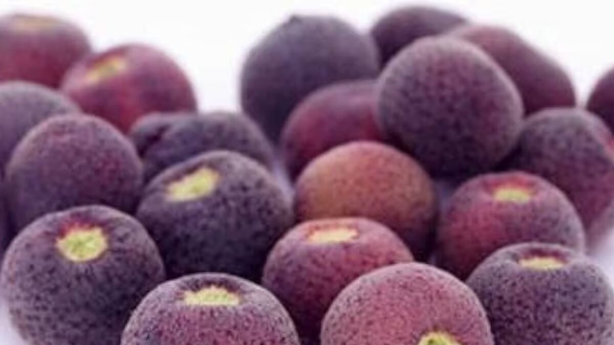 Why Phalsa Fruit Is A Must-add To Diabetic Patients’ Diet