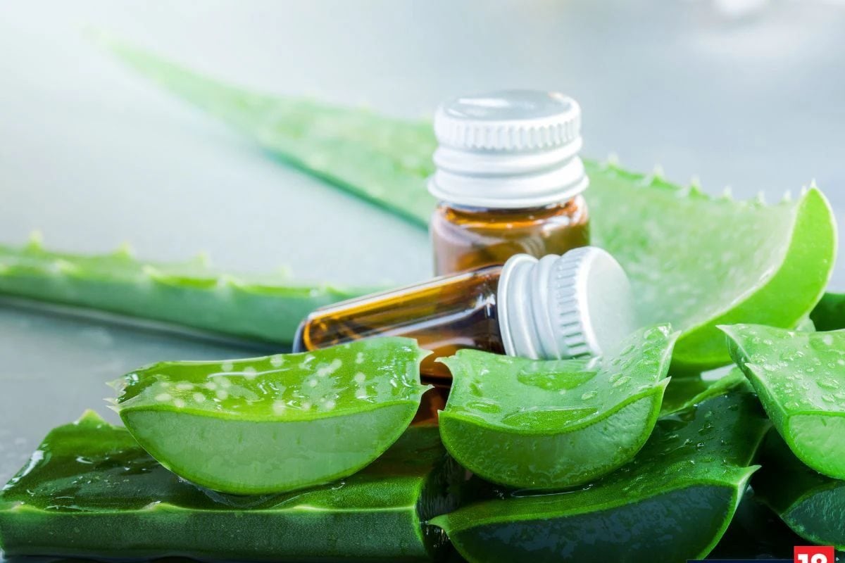 Troubled By Dull And Frizzy Hair In Summer? Here’s How Aloe Vera Gel Can Help