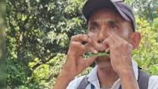 In West Bengal's Buxa, Travel Guide Entertains Tourists Playing Flute Made Of Leaves - Vimarsana News