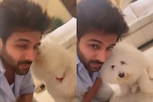 Kartik Aaryan Shares Cute Video of Pet Katori Playing With Him Before He Heads To Shoot; Watch