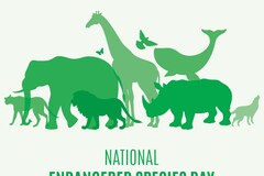 National Endangered Species Day 2024: History, Significance, and How to Help Safeguard Endangered Species