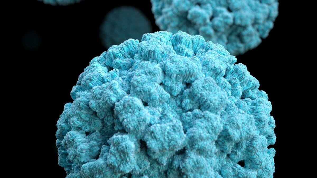 Cryptosporidiosis Outbreak Sickens Over 46 In UK, Cases Of Norovirus Also Rise