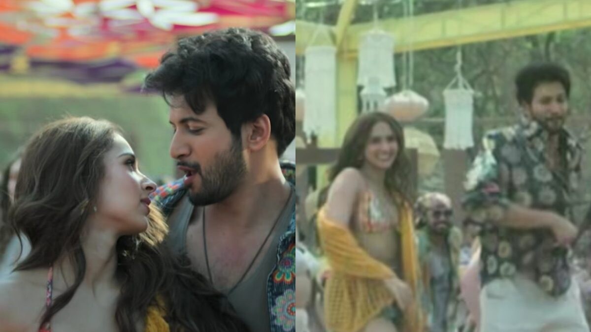 Ishq Vishk Rebound: Rohit Saraf, Pashmina Roshan's Chemistry is Off The Charts In New Song 'Soni Soni'