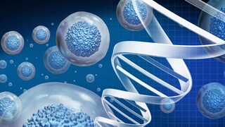 Is Stem Cell Transplant Often The Only Treatment Option For Blood Cancer Patients? Why So? - Vimarsana News
