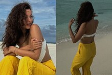 Sexy Video! Triptii Dimri Is A Complete Beach Baby And THIS Clip Is A Proof; Watch Here