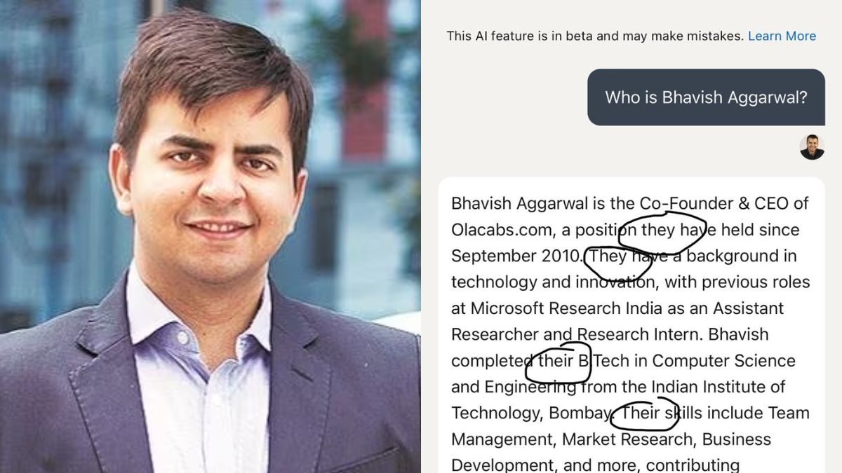 Ola CEO Bhavish Aggarwal Speaks Against 'Pronoun Illness' Borrowed