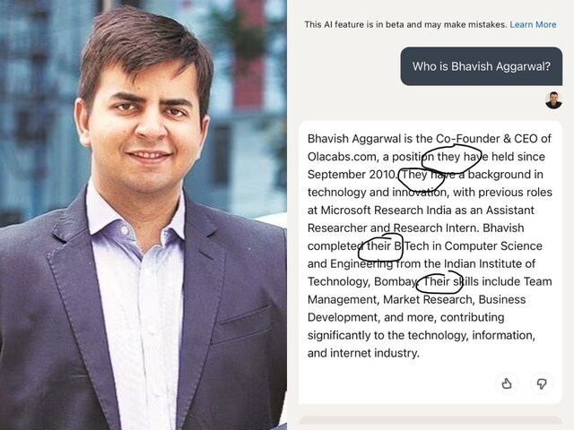 Ola CEO Bhavish Aggarwal Speaks Against 'Pronoun Illness' Borrowed From ...