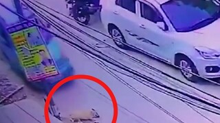 'Inhuman': Car Deliberately Runs Over Sleeping Dog in Ghaziabad, Disturbing Footage Goes Viral - Vimarsana News