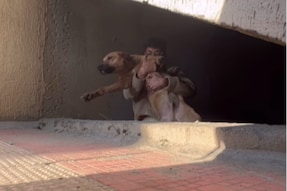 Not All Heroes Wear Capes And This Man Proved It By Rescuing A Crying Dog