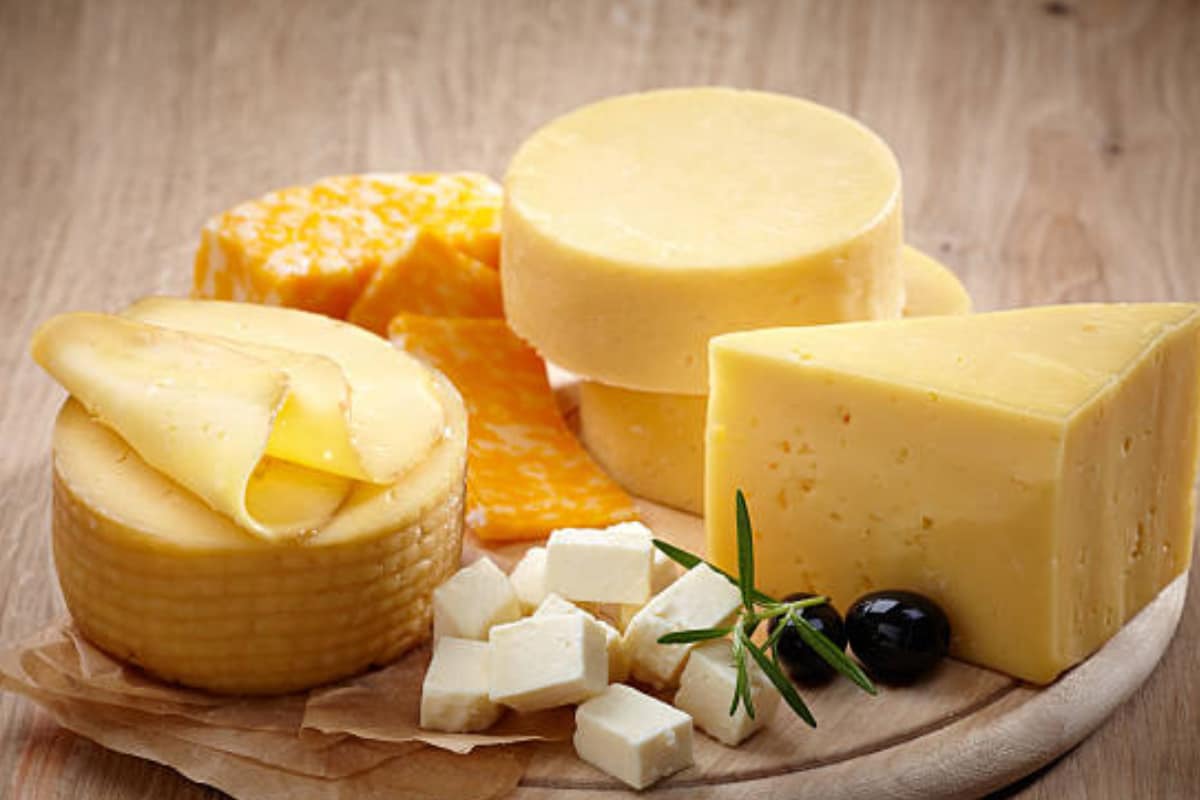 Are You Eating The Right Cheese? Nutritionist Explains What Is Good For Health