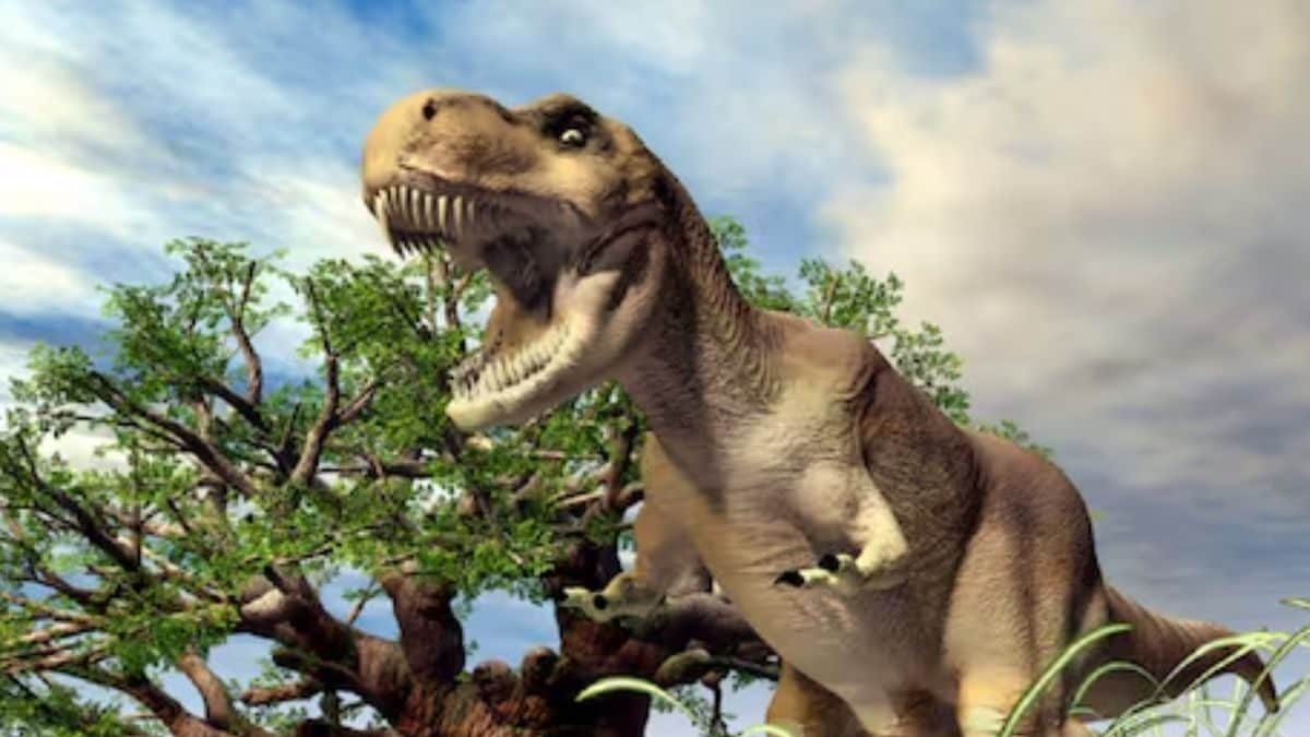 T-Rex Dinosaurs Were Only As Smart As Modern-day Reptiles, Reveals New Study