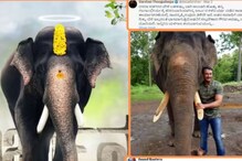 Darshan To Send Stones For Deceased Elephant Arjuna’s Burial Site: Report