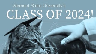 Campus Cat Gets 'Doctor of Litter-ature' Degree From US University, Internet Says 'PurrFect Scholar' - Vimarsana News