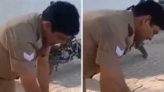 Watch: UP Cop Performs CPR On Baby Monkey Who Fainted Due To Severe Heat - Vimarsana News